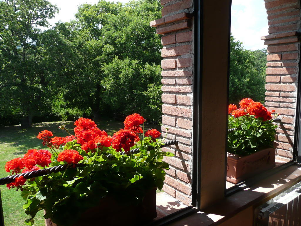 Agriturismo Colli Di Travale Montieri الغرفة الصورة